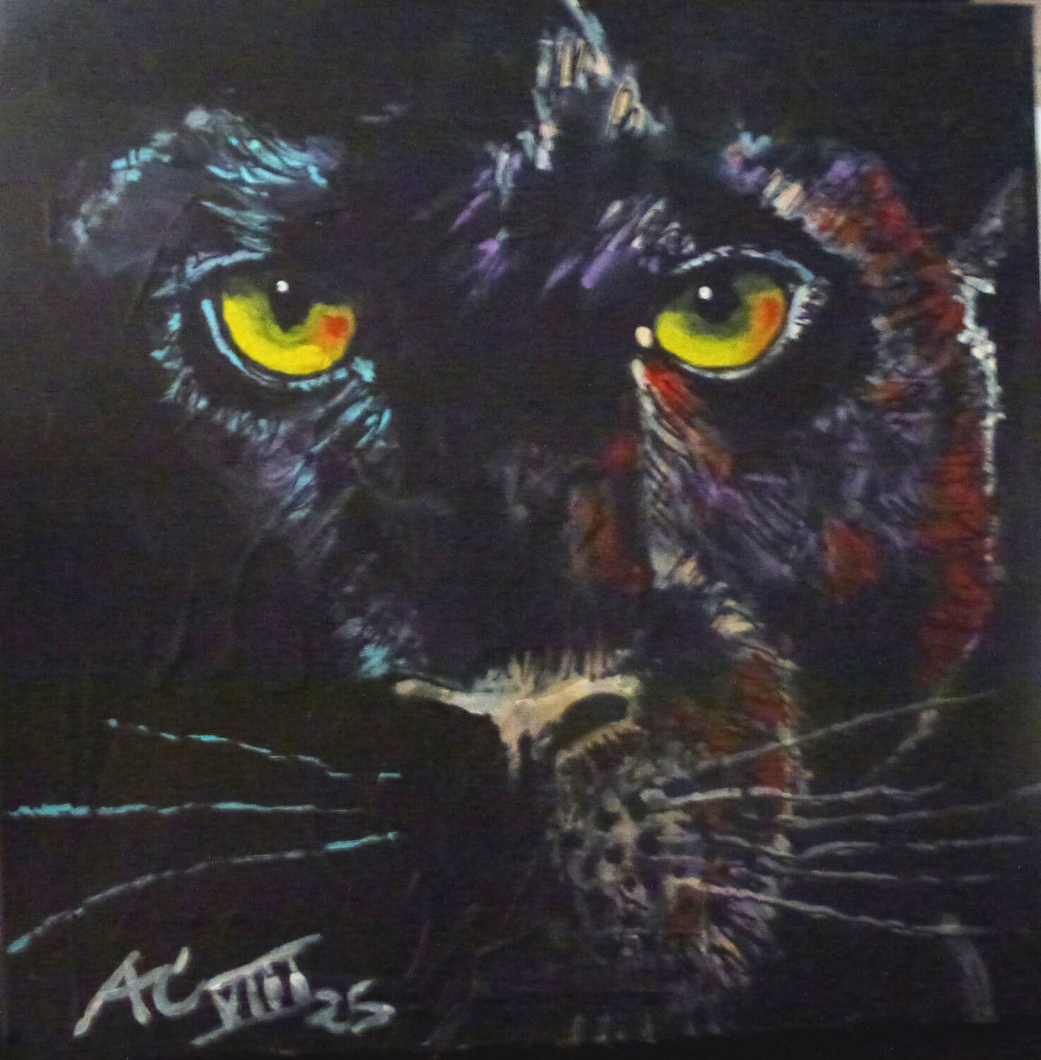 Black Panther Johann Acher