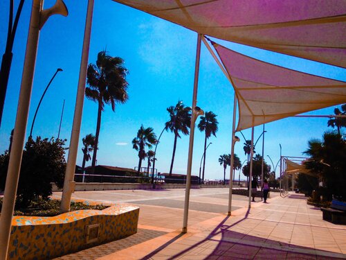 Promenade Estepona par Livia Prof. Dr. Küffner, Photographie en vente sur Singulart