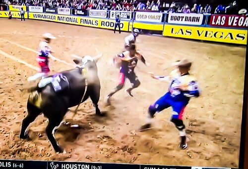 Rodeo in Houston by Livia Prof. Dr. Küffner, Photography for Sale on Singulart