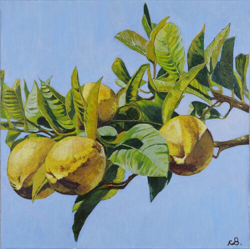 I Limoni by Cinzia Beretta, Painting for Sale on Singulart