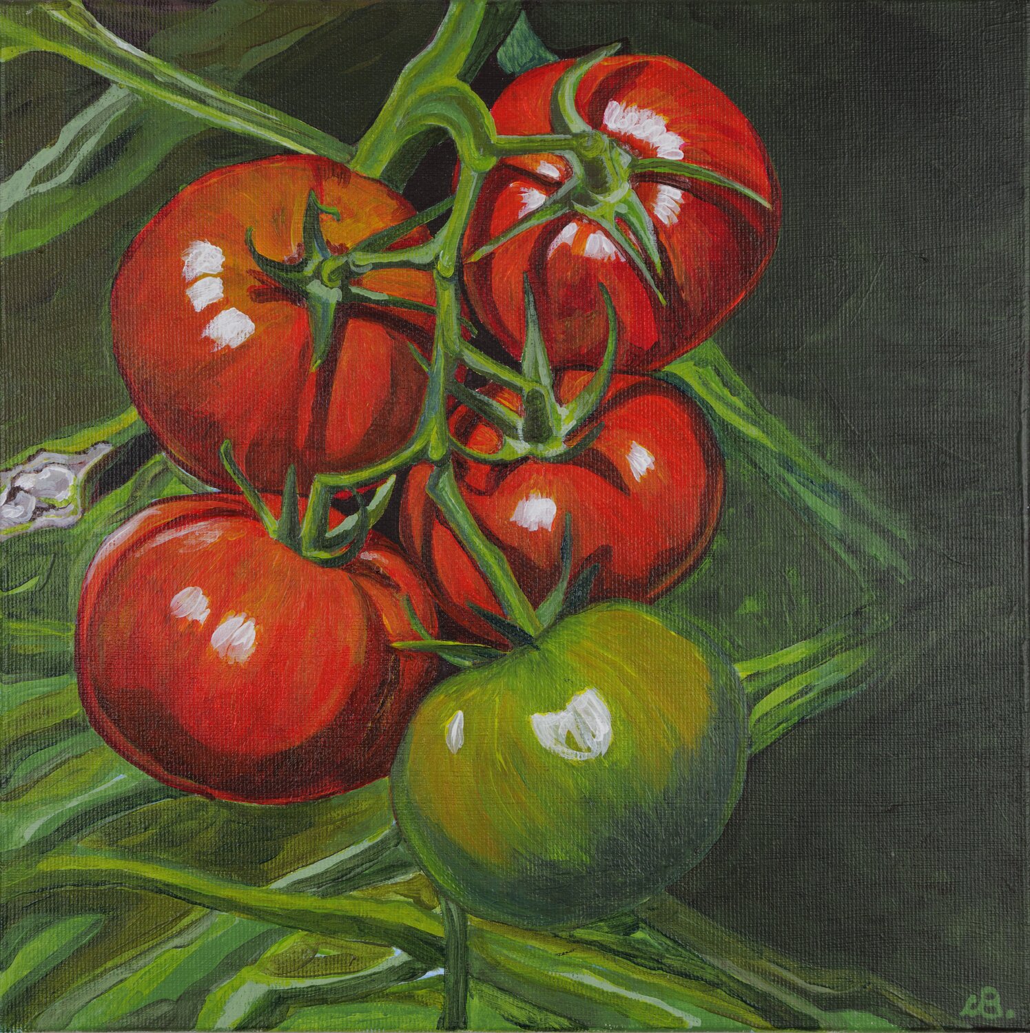 I Pomodori Cinzia Beretta