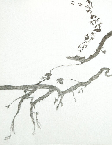 Silver Branch II von Sheila Lemons, Malerei kaufen auf Singulart