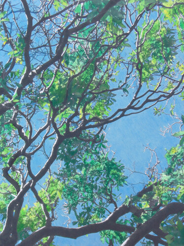 Green von Sheila Lemons, Zeichnungen kaufen auf Singulart