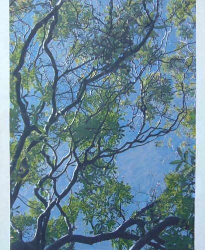 Green II von Sheila Lemons, Zeichnungen kaufen auf Singulart