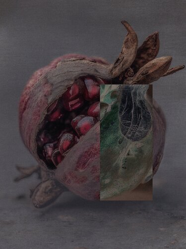 Trame Sacre - Natura - Melograno Aperto by Massimo Zanotti, 數碼 for Sale on Singulart