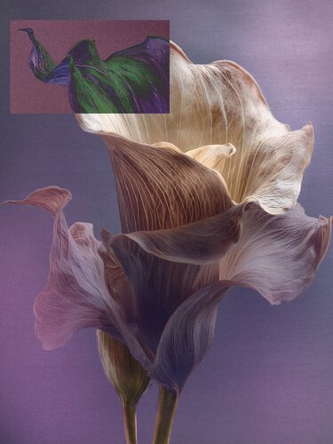 Trame Sacre - L'Eredità del Tempo by Massimo Zanotti, 數碼 for Sale on Singulart