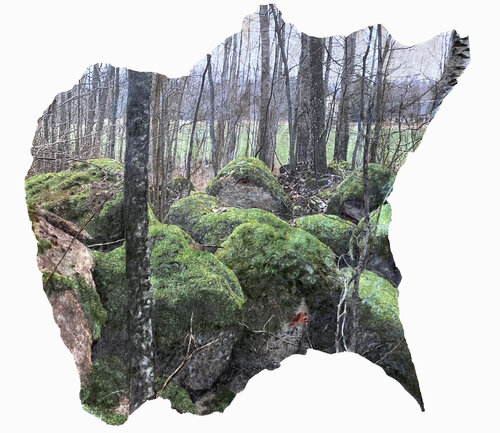 My Green Land von Maruta Konceviča, Textil kaufen auf Singulart