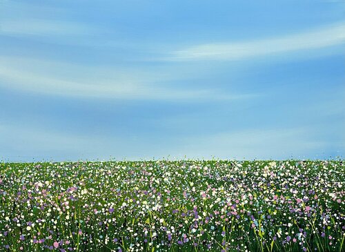 Field with flowers 44 Ivan Didovodiuk