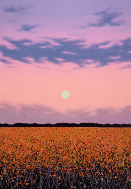 Sunset in the field 7 Ivan Didovodiuk