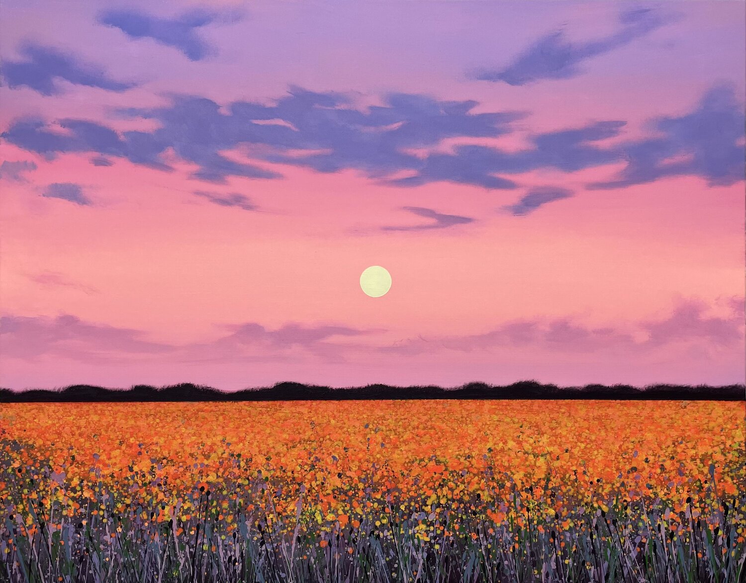 Sunset in the field 5 Ivan Didovodiuk