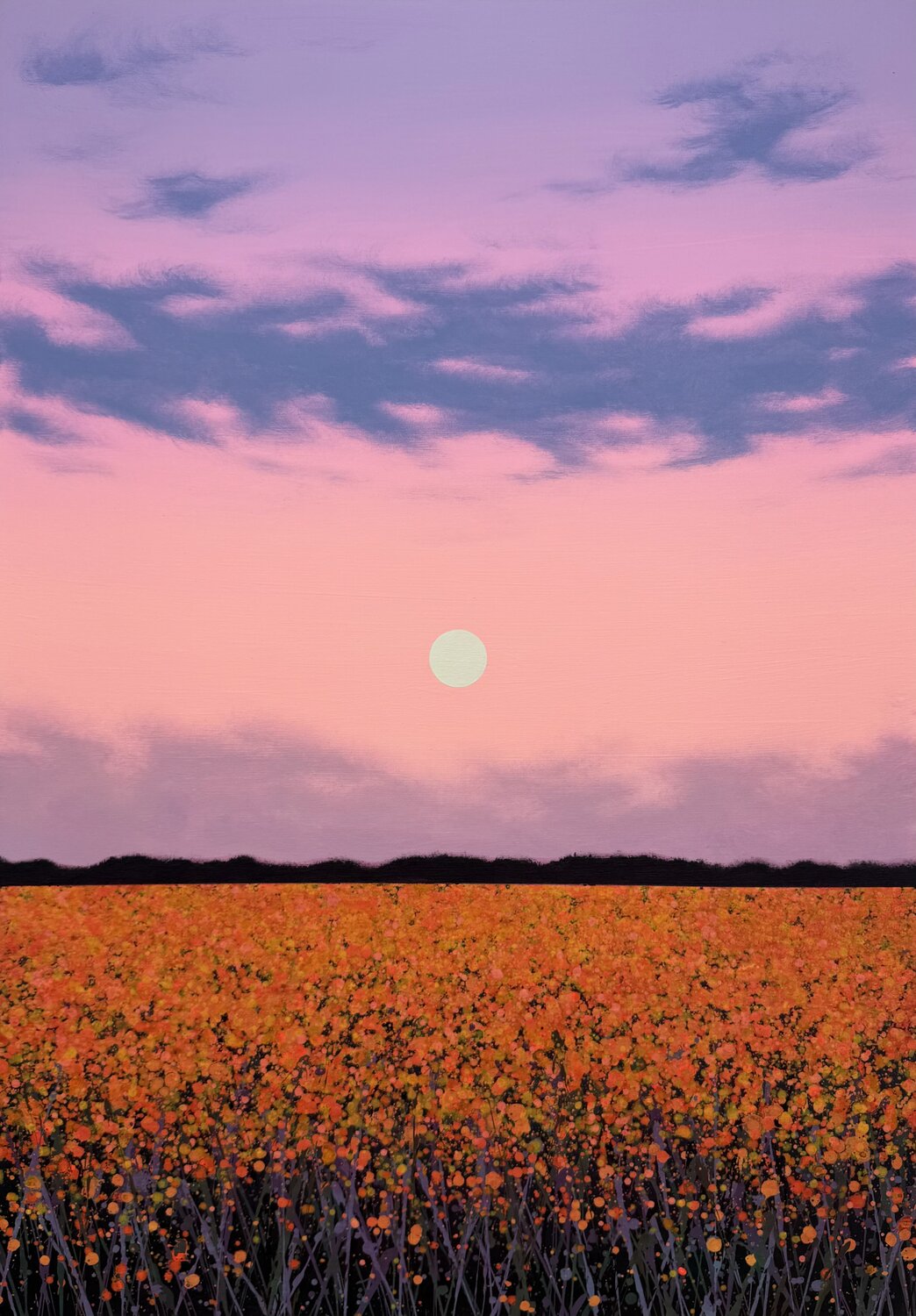 Sunset in the field 7 Ivan Didovodiuk