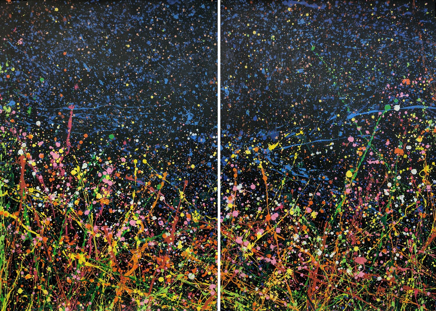 Starry sky in the field (diptych) Ivan Didovodiuk