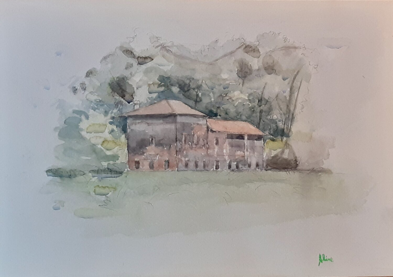 Cascina Aline De Souza Lopes