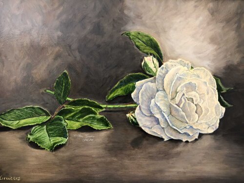 White Rose Petra Gruiters