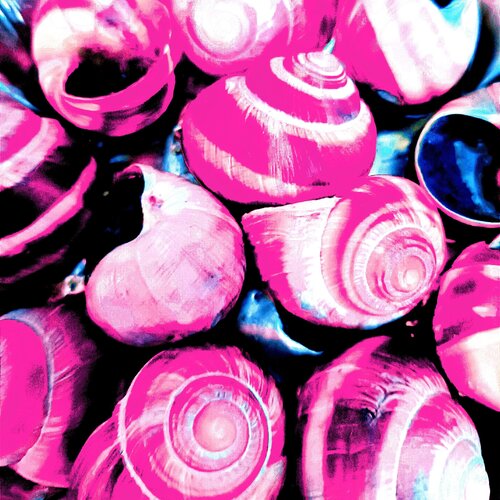 Rosablaue Schneckenhäuser by Ralf Strauß, 其他媒介 for Sale on Singulart