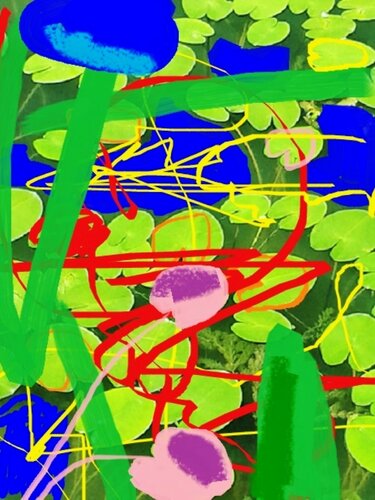 Seerosenblätter by Ralf Strauß, Print for Sale on Singulart