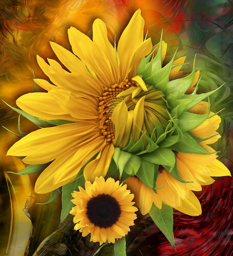 SUNFLOWER von Petra Meyer, Druck kaufen auf Singulart