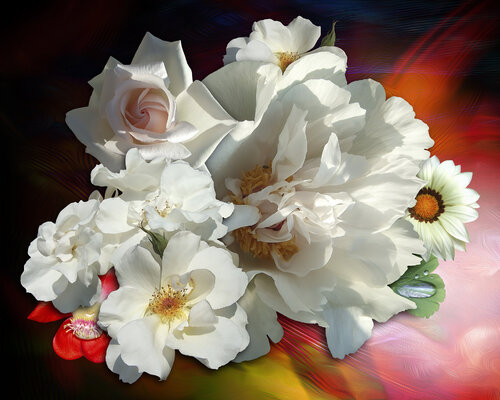 FLOWER IMPRESSION III von Petra Meyer, Druck kaufen auf Singulart