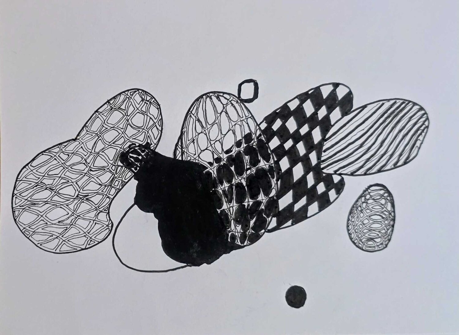 Traveling Lines: From the True North.#7 Sonia Roseval Tekening te koop
