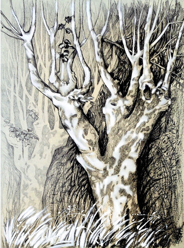 Zwei Platanen by Ewa Jablonski, Work on Paper for Sale on Singulart