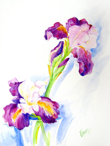 Iris, Schwertlilien by Ewa Jablonski, Work on Paper for Sale on Singulart