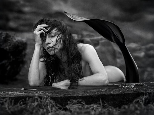 Der Schlüssel der Stille Joachim Bergauer