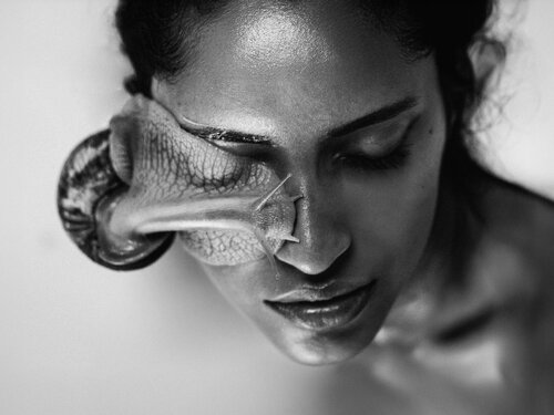 Snail von Joachim Bergauer, Fotografie kaufen auf Singulart