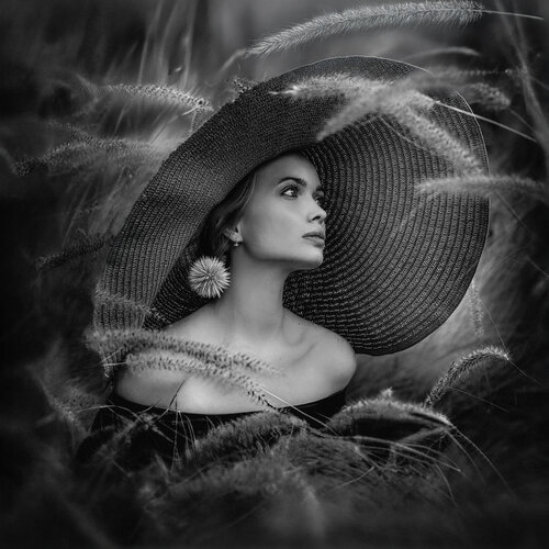 Whispers of Grass van Joachim Bergauer, Fotografie te koop op Singulart