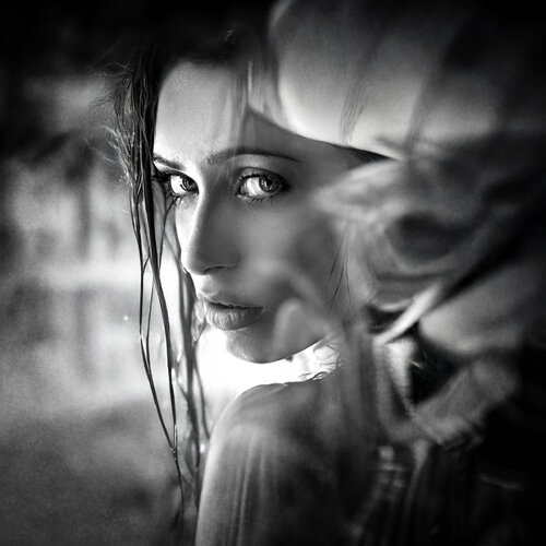 Glass Skin von Joachim Bergauer, Fotografie kaufen auf Singulart