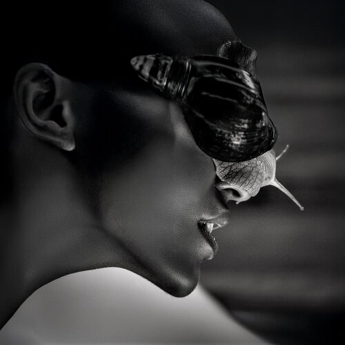 Becoming Shell Joachim Bergauer