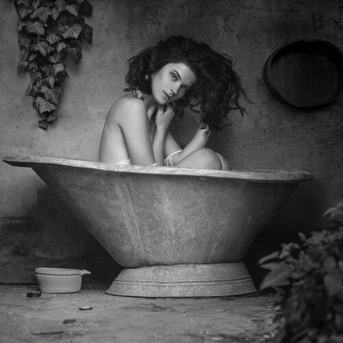 Flora Mechanica IV-Aura Joachim Bergauer