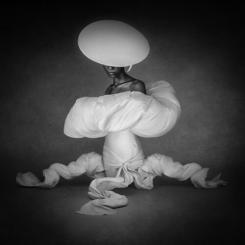 Bloom of the Unknown de Joachim Bergauer, Fotografía a la venta en Singulart