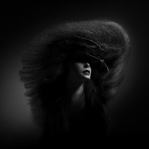 Crown of Silence di Joachim Bergauer, Fotografia in vendita su Singulart