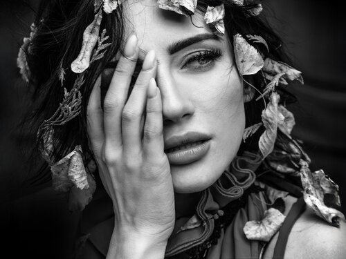 Amard – Echo der Blätter Joachim Bergauer