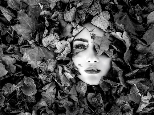 Drevoc – Leafskin di Joachim Bergauer, Fotografia in vendita su Singulart