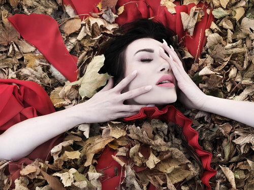 Beneath the Leaves par Joachim Bergauer, Photographie en vente sur Singulart