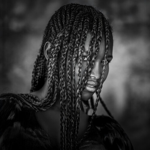 Braided Shadows Joachim Bergauer