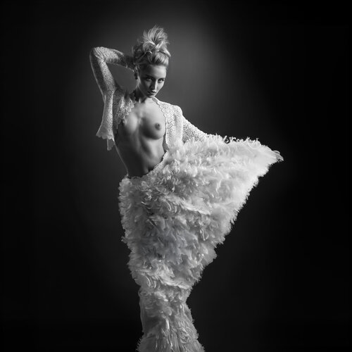 Lace & Plume de Joachim Bergauer, Fotografía a la venta en Singulart