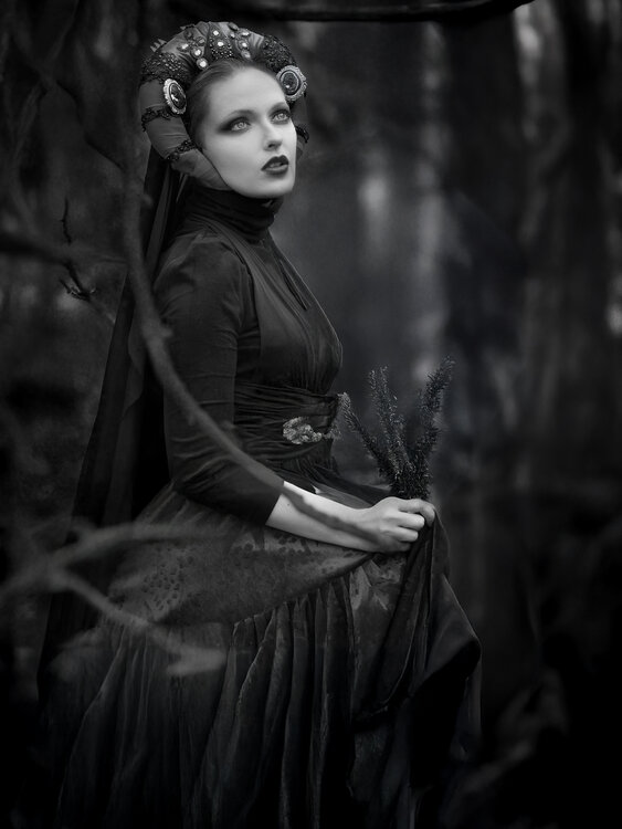 Culture of Ashes Joachim Bergauer