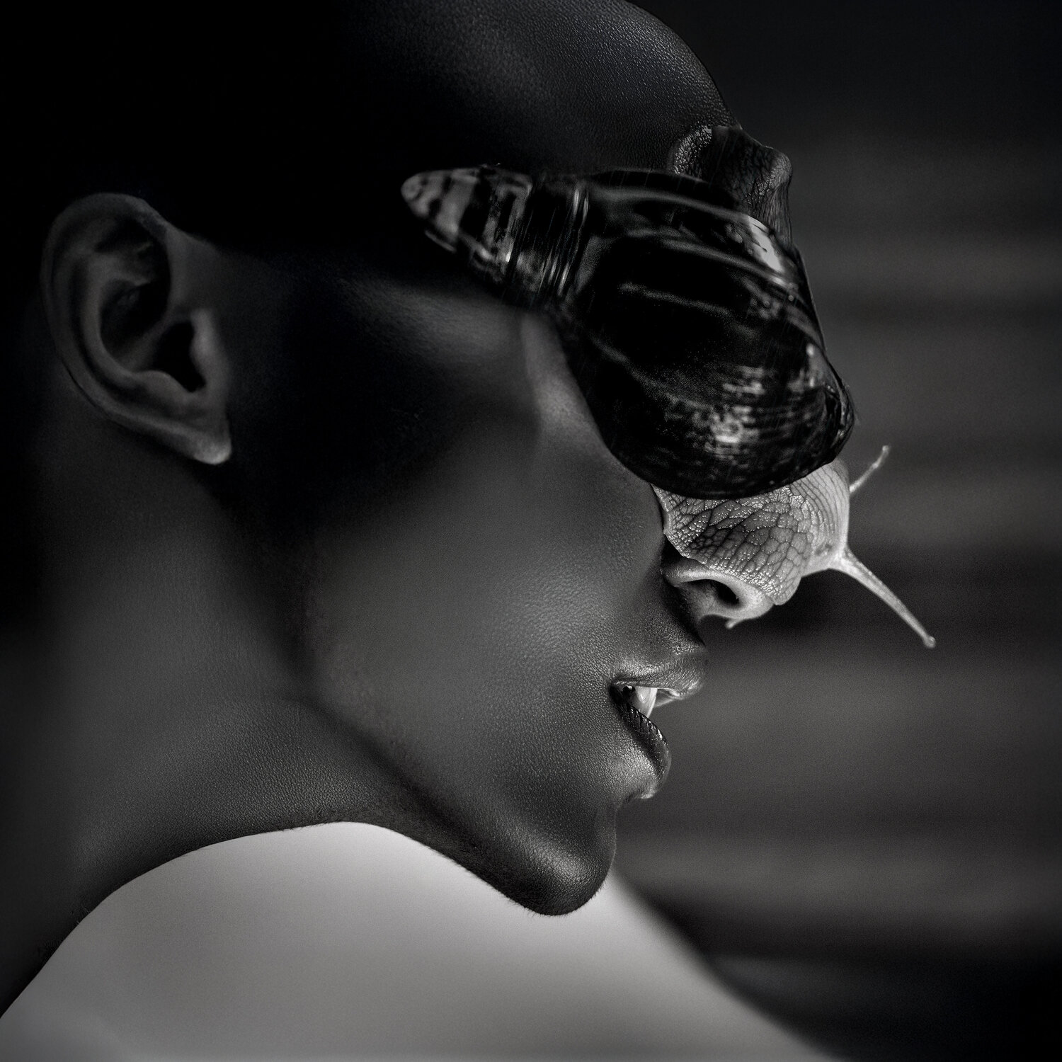 Becoming Shell Joachim Bergauer