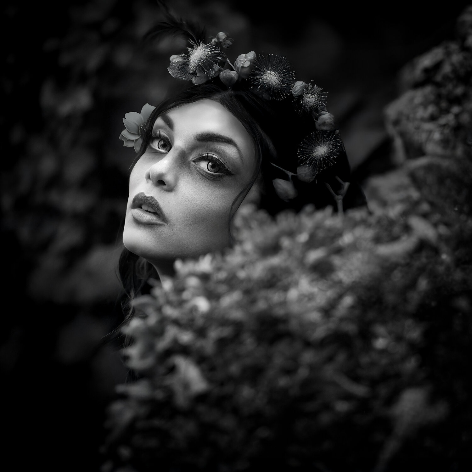 Echo of Persephone Joachim Bergauer