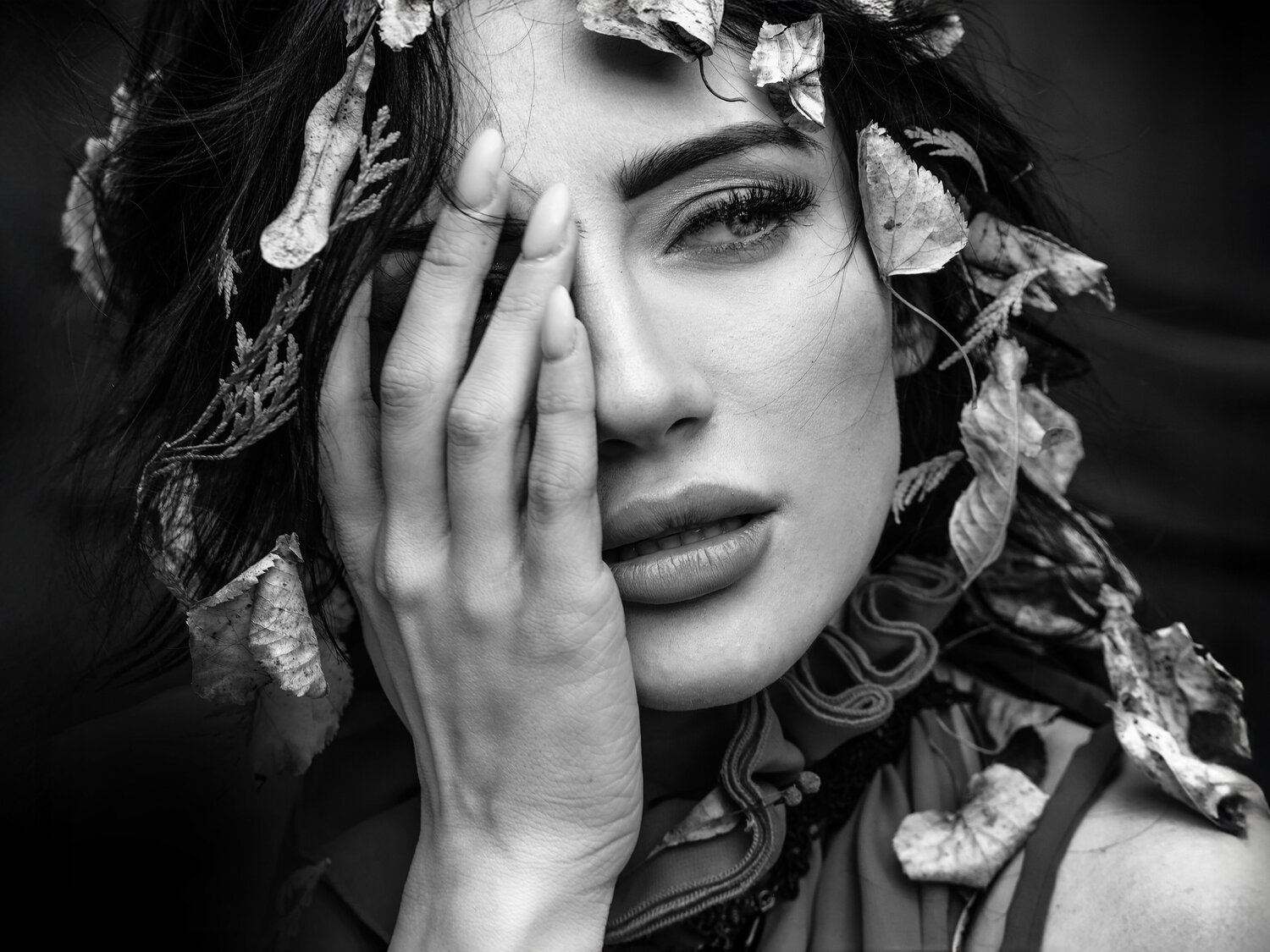Amard – Echo der Blätter Joachim Bergauer
