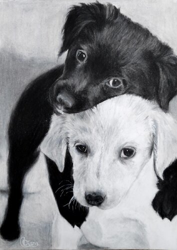 Black and White de Diana Captari, Dibujo a la venta en Singulart