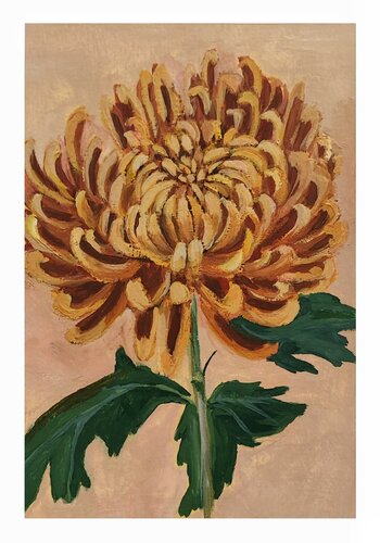 Chrysanthemum van Diana Captari, Schilderij te koop op Singulart