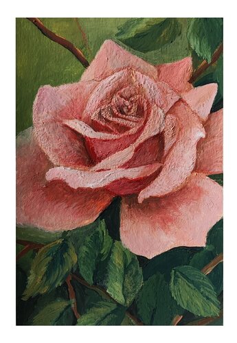 Pink rose van Diana Captari, Schilderij te koop op Singulart