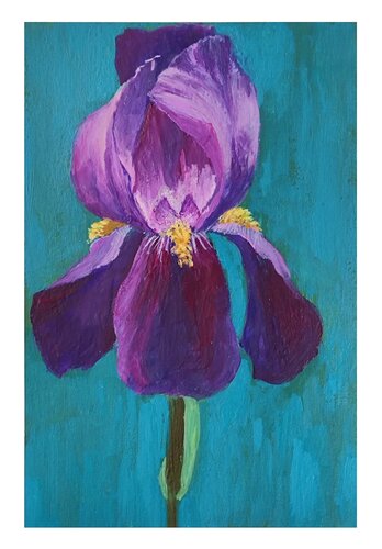 Iris von Diana Captari, Malerei kaufen auf Singulart