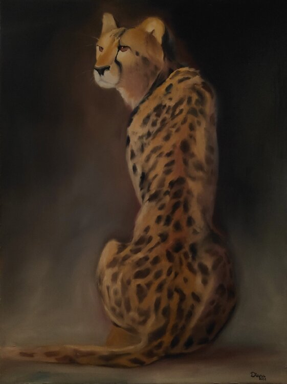 Observer Diana Captari