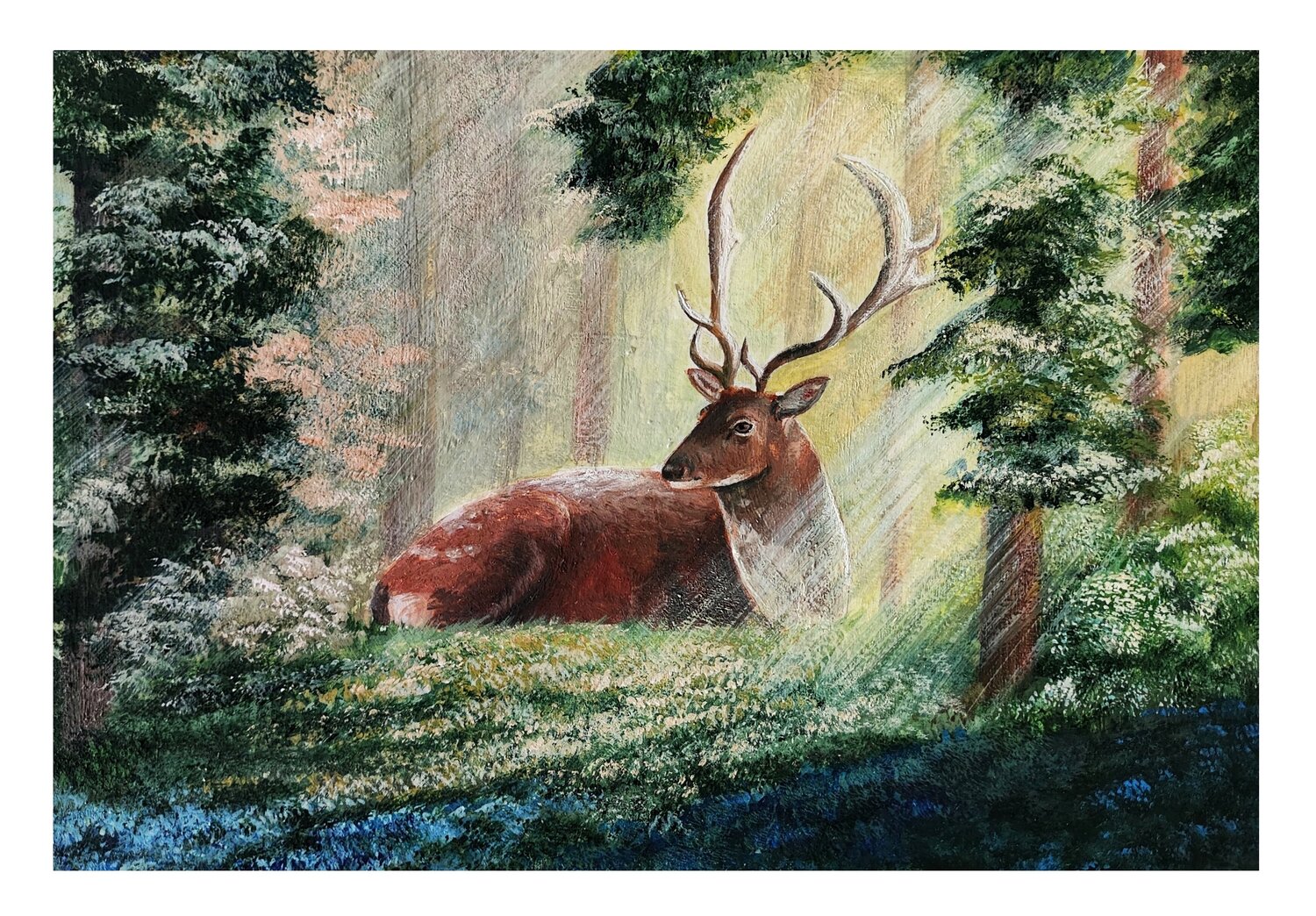 Forest fauna Diana Captari
