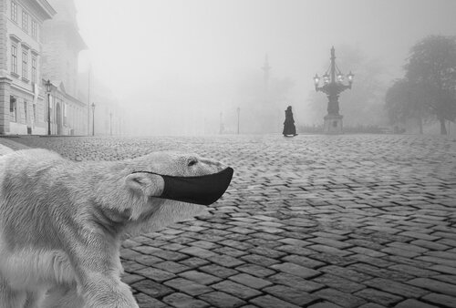 Who save us?  60x90 cm di Peter Cech, Fotografia in vendita su Singulart