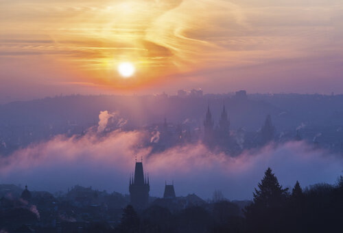 Foggy morning  60x90 cm van Peter Cech, Fotografie te koop op Singulart